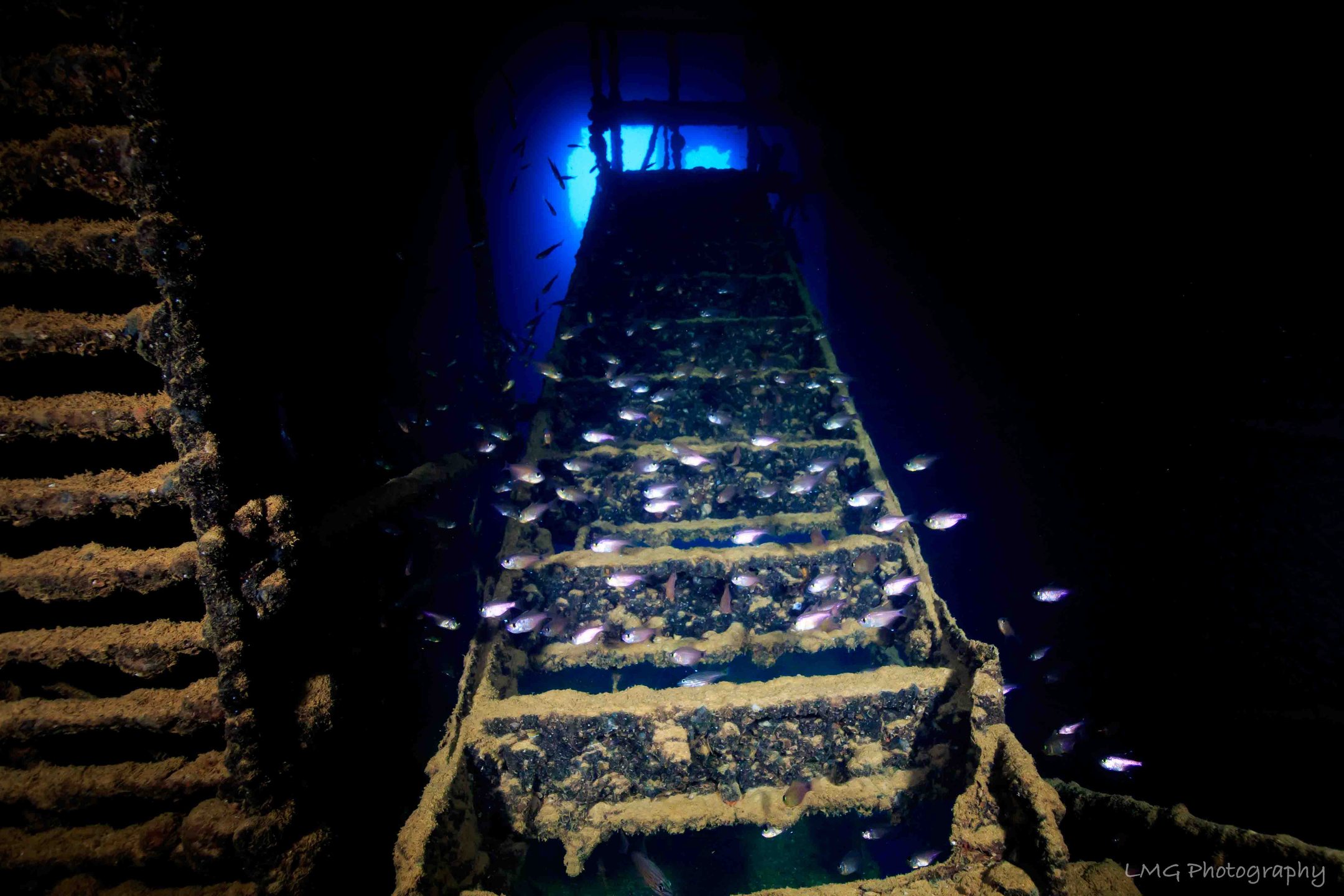 Tokai Maru photo 19