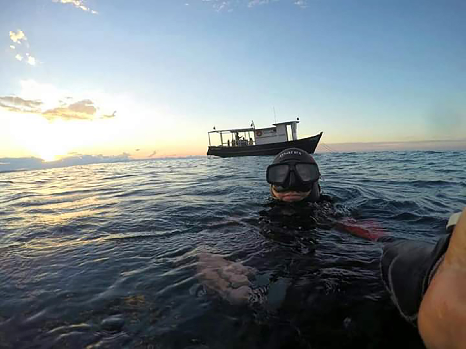 ILHA DA ANCORA ( PONTA LESTE) P & P MERGULHO photo 2