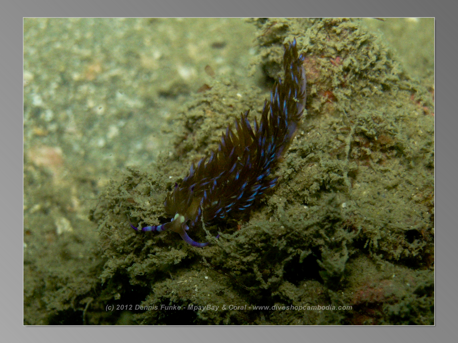 Mpai Bay photo 3
