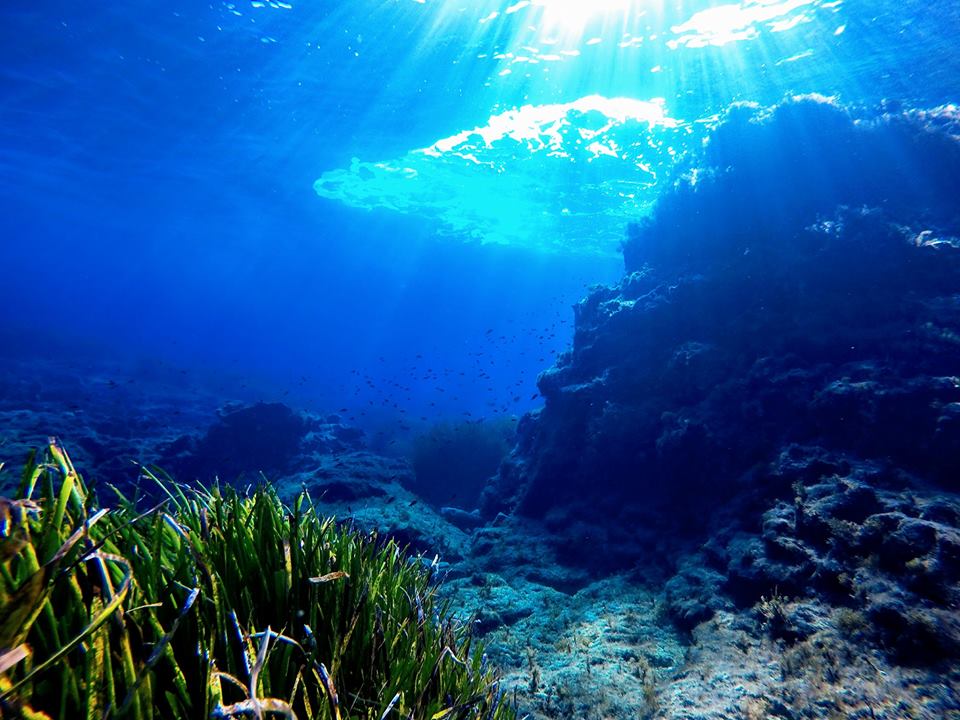 Airport Reef photo 3