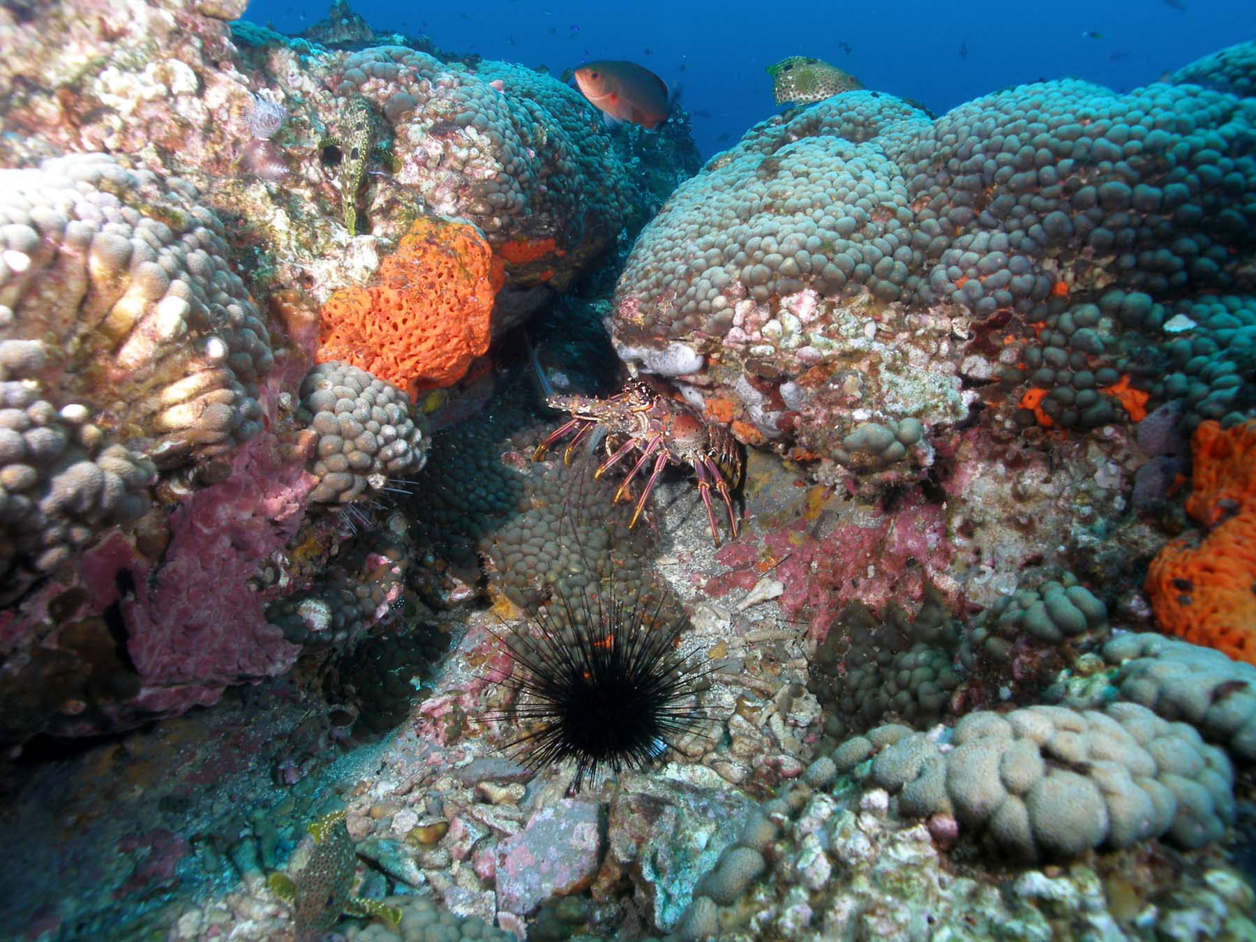 Stetson Bank NMS photo 2