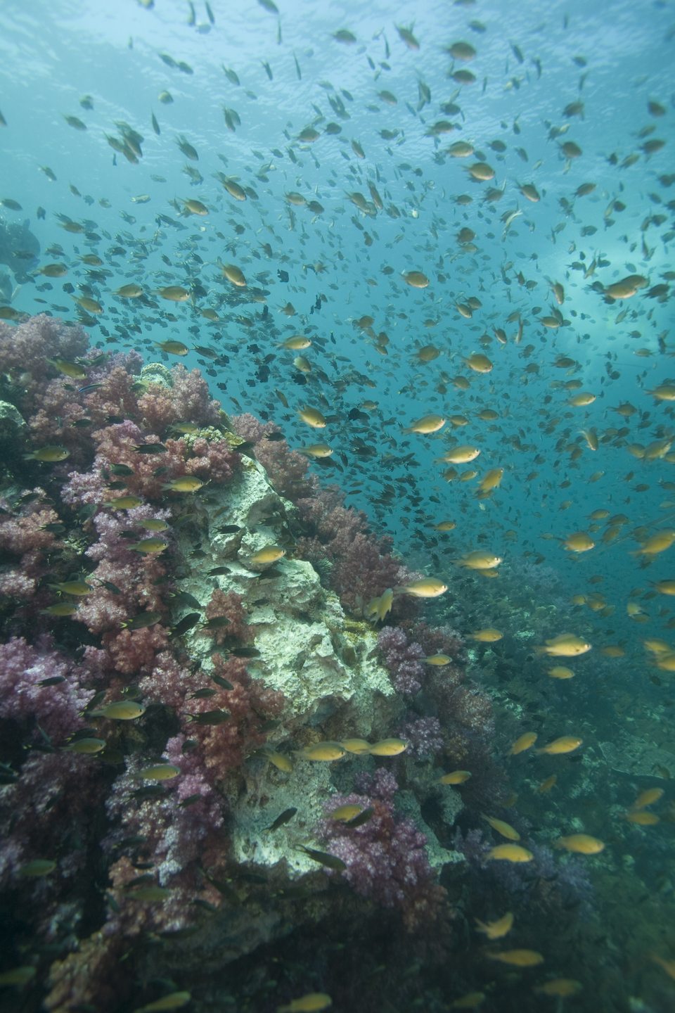 Ang Thong Marine Park