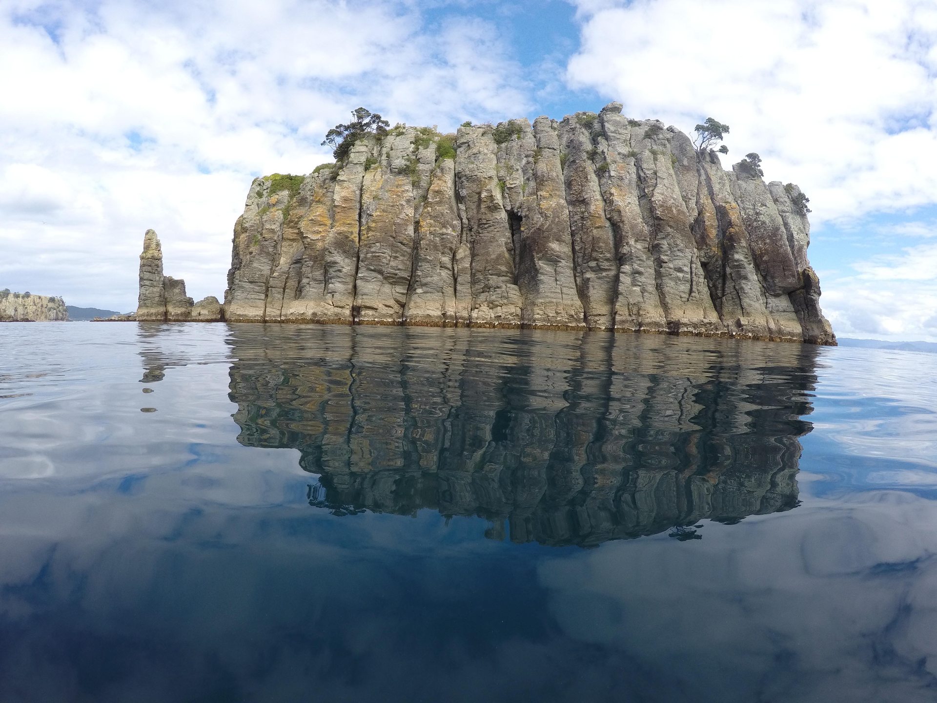 The Bookcase, Great Mercury Island