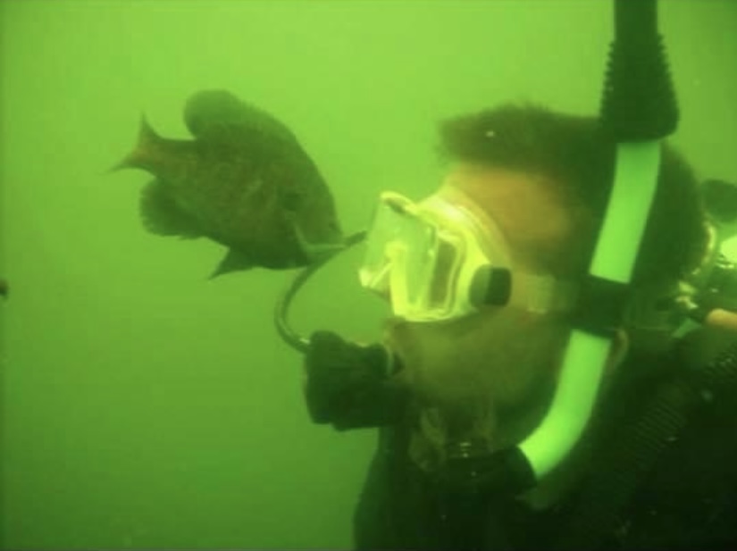 The Scuba Ranch photo 12