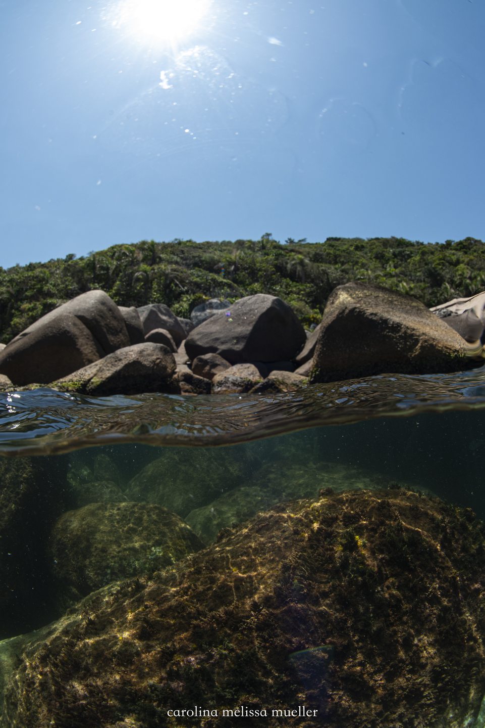 Ilha do Arvoredo - Engenho photo 2