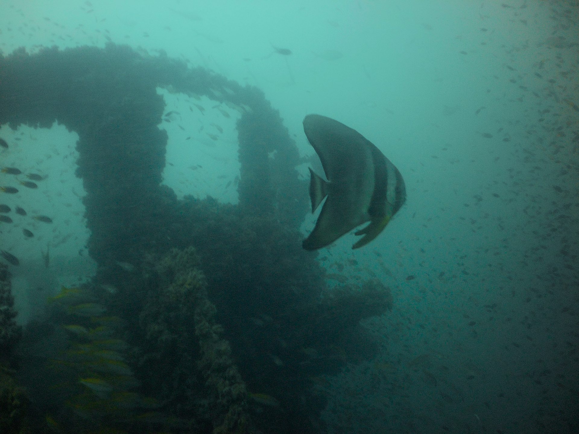 HTMS Kut Shipwreck photo 5