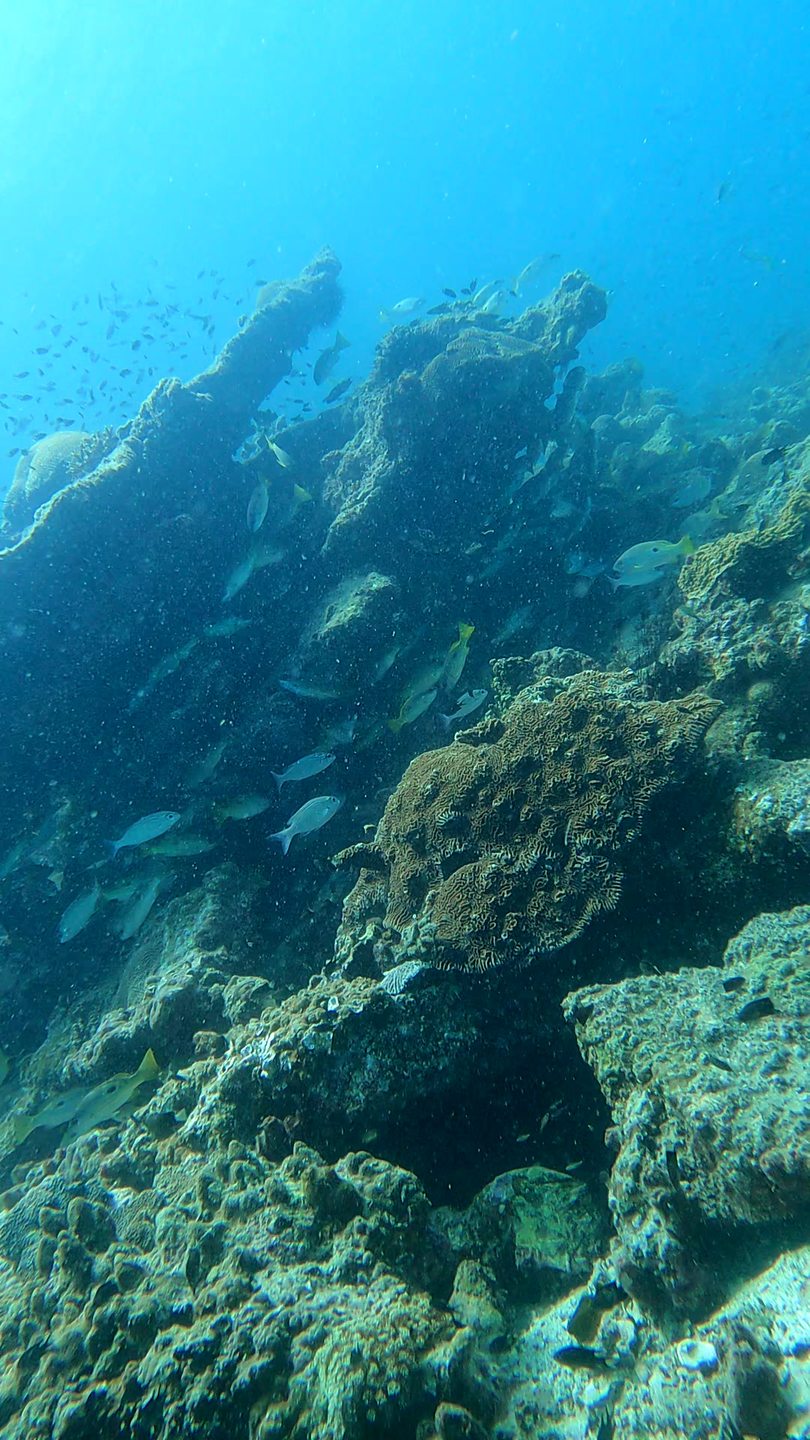 Aquarium photo 11
