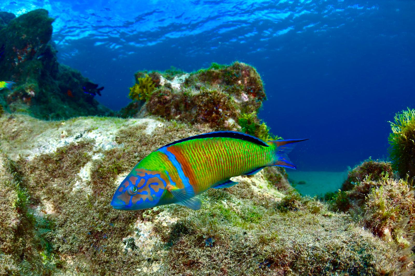 Blue Hole photo 2