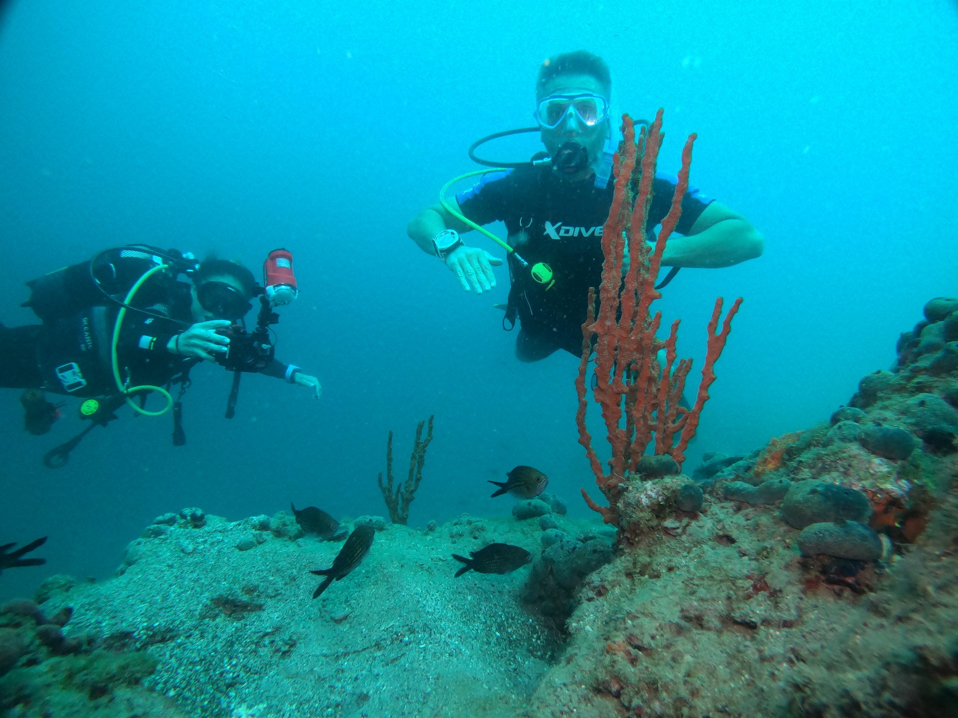 Limni reef 2 photo 13