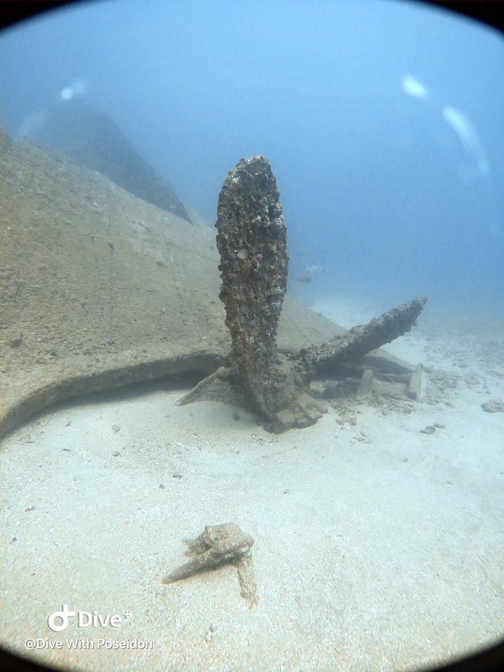 S S Conch photo 2