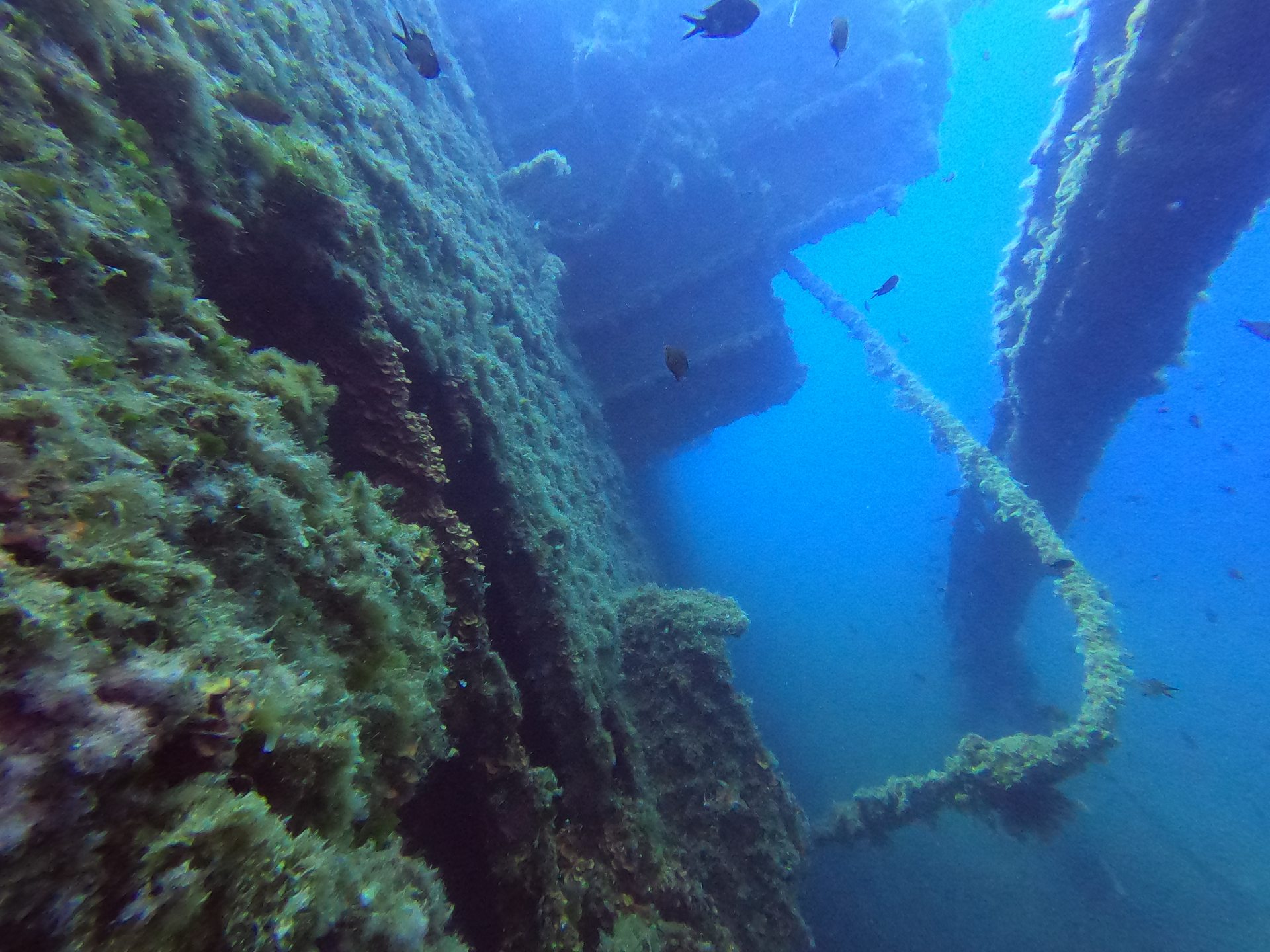 Myrmix and Lefteris – the VERA shipwreck photo 3