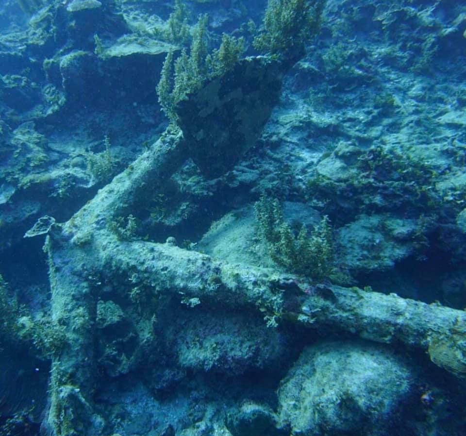 Spanish Anchor photo 2