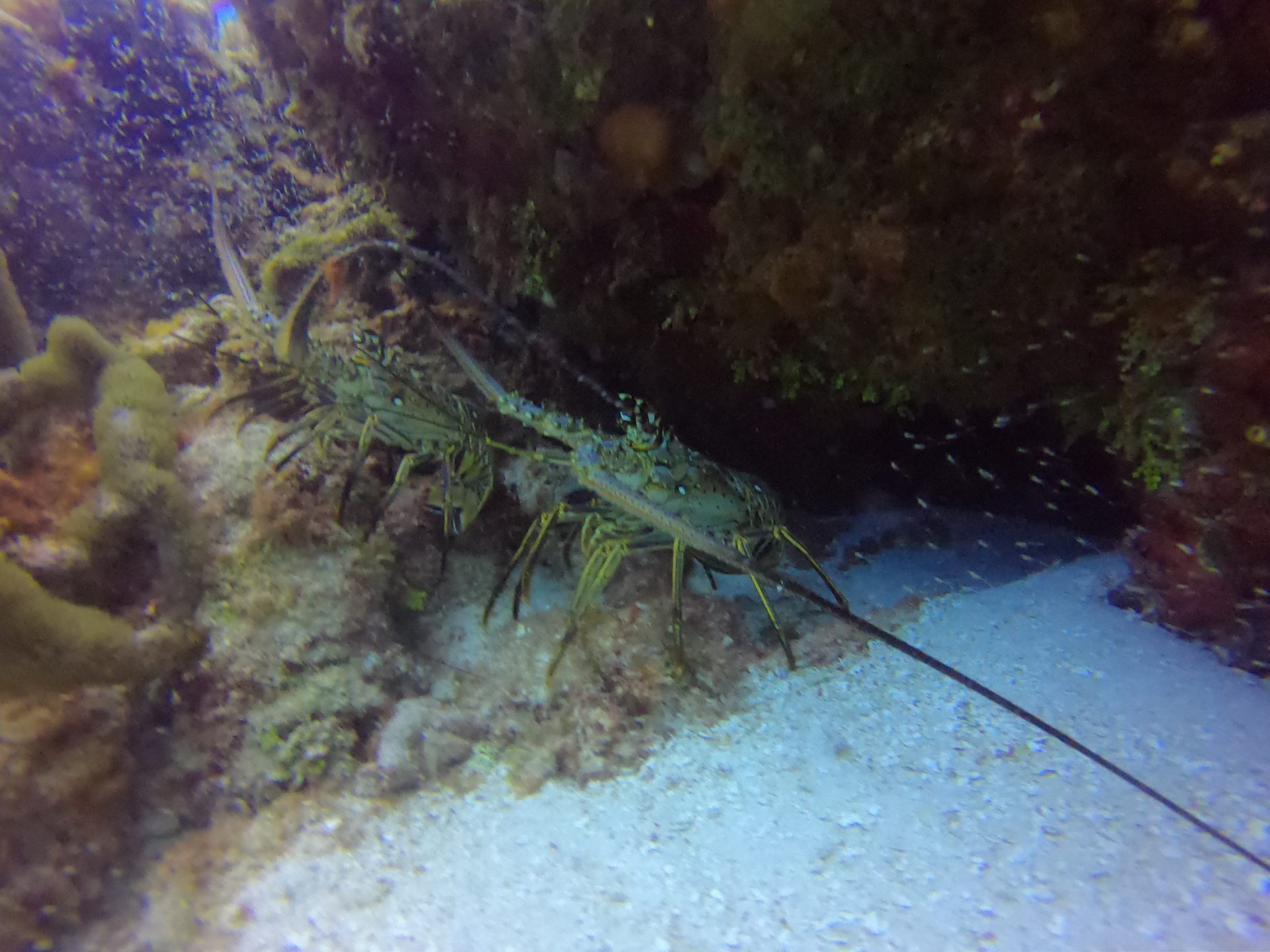 Bajo Bonito (Plaza de toros)