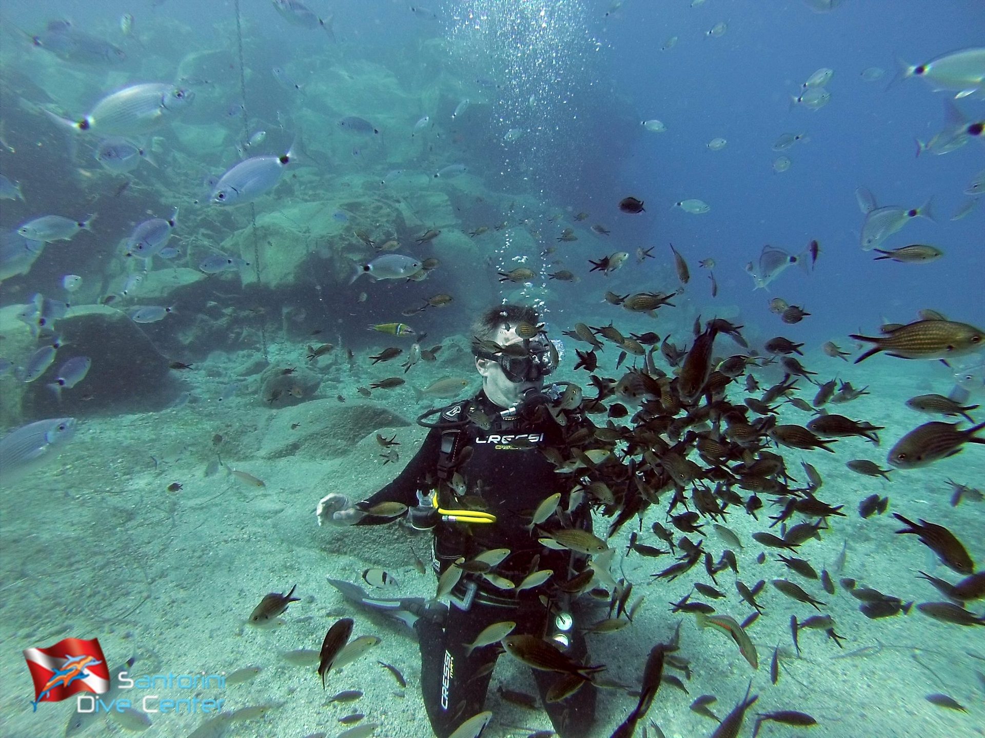 House Reef