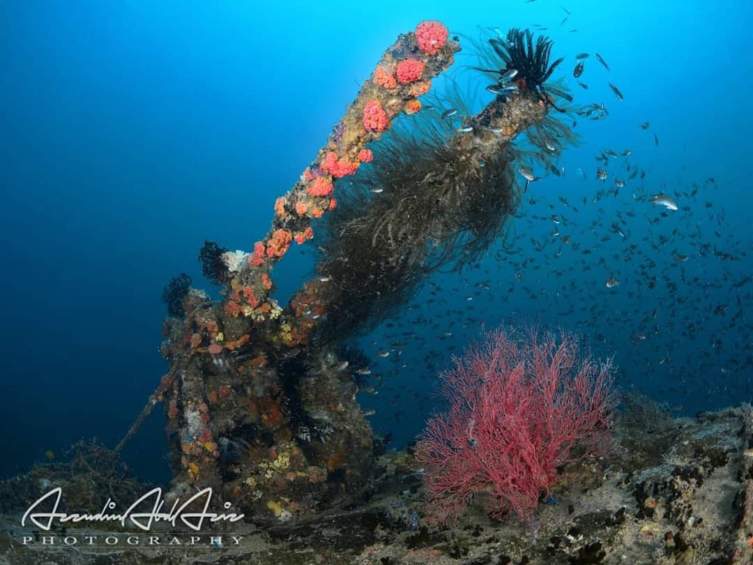 Varella Wreck