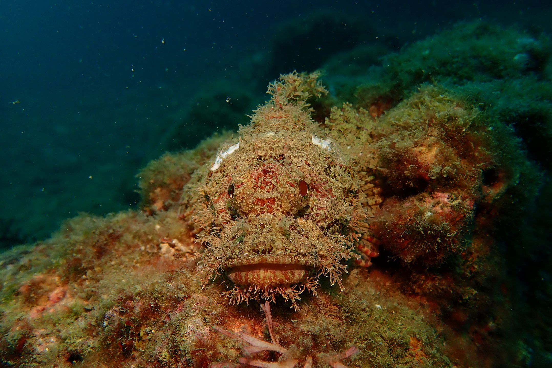 百福湾 photo 12