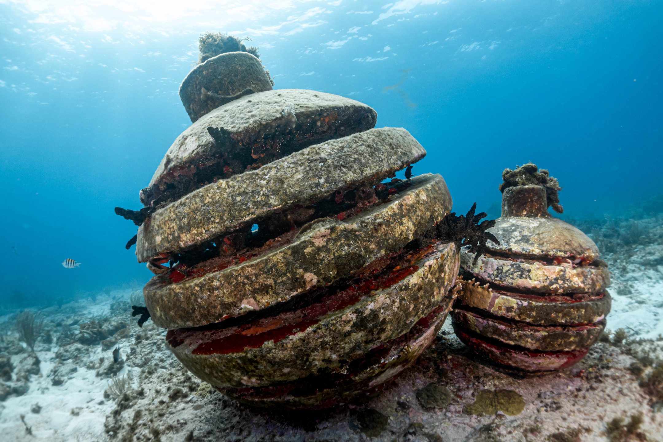 MUSA cancun underwater museum photo 18