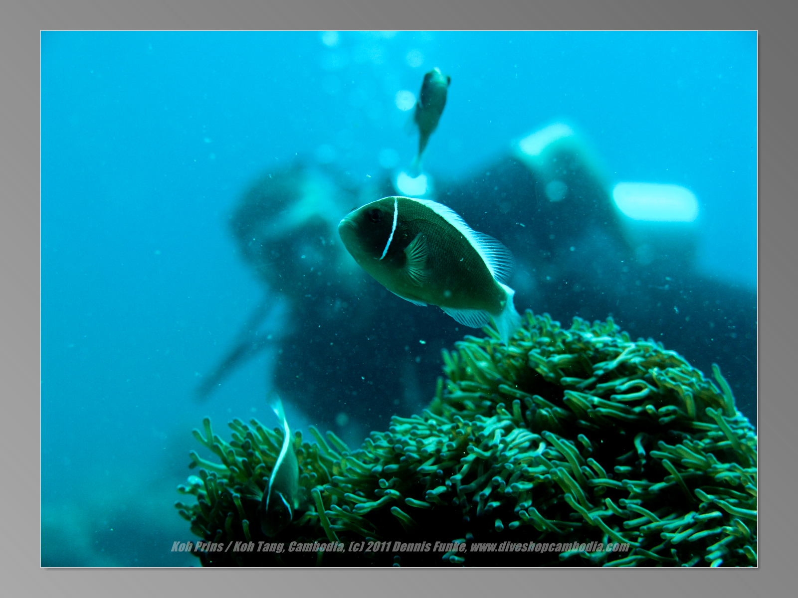 Koh Prins West photo 3