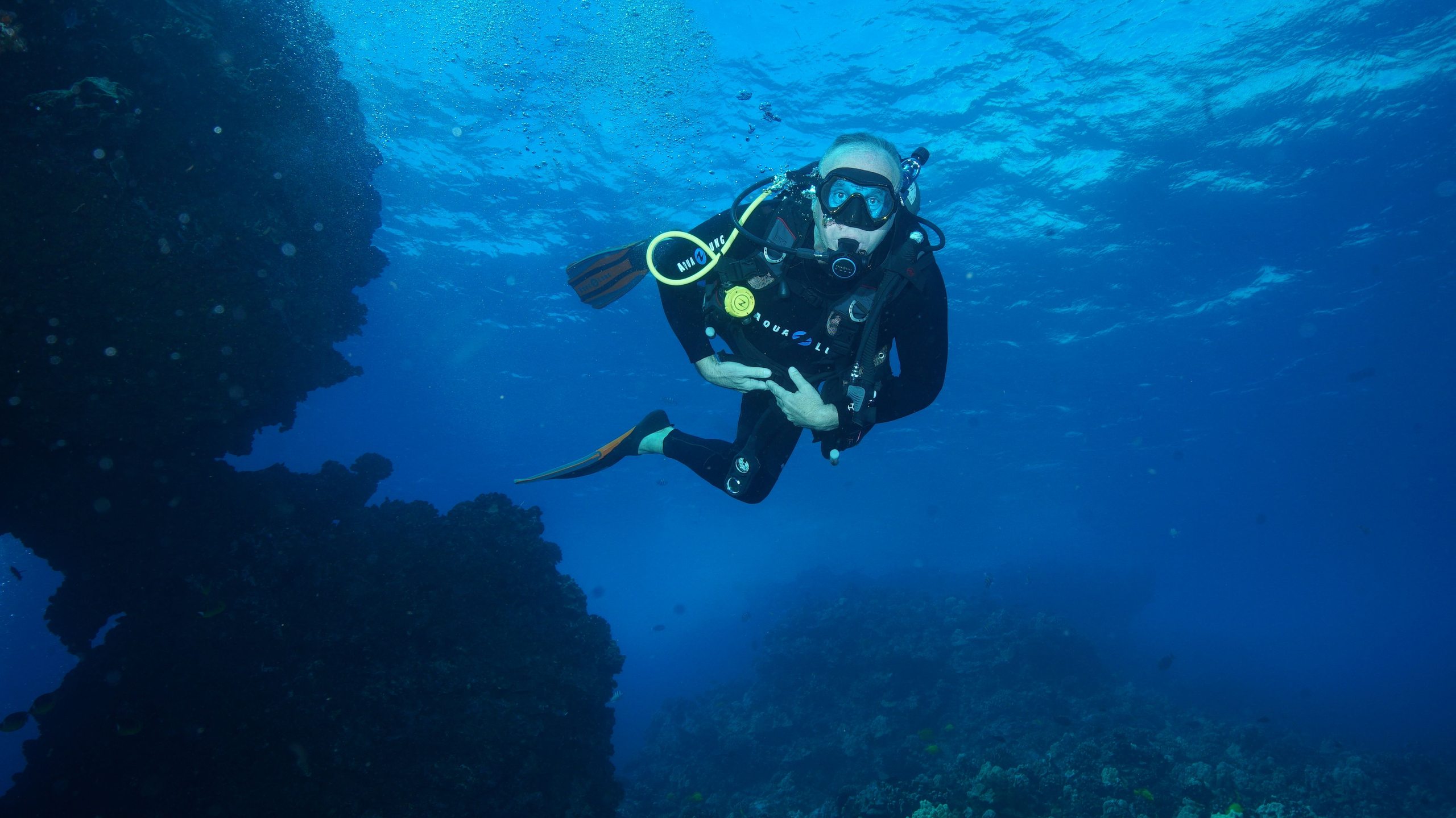 Coral Gardens