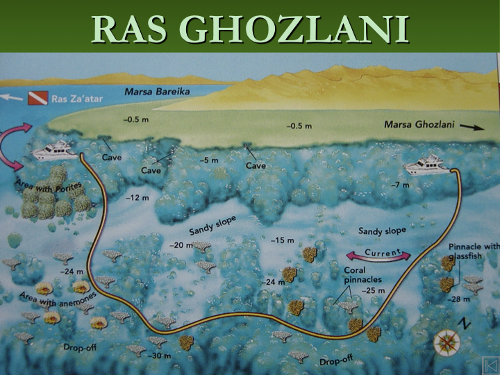 Ras Ghazlani - Ras Mohammed