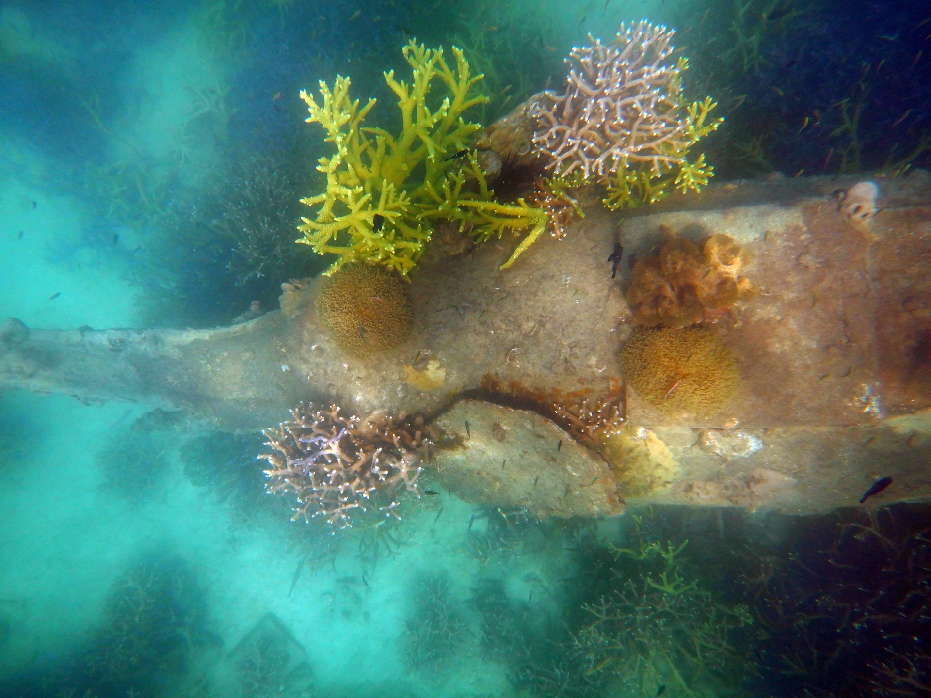Koh Reath photo 7