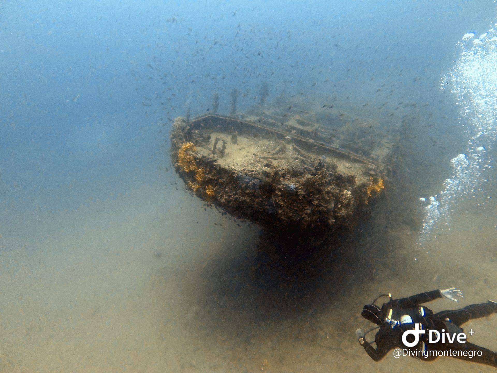 Tihani Shipwreck photo 14