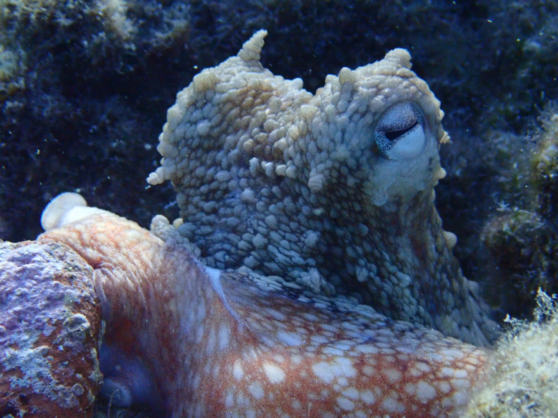3 - ROCKS photo 6