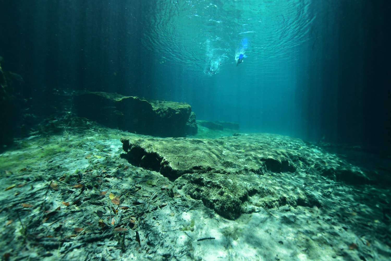 casa cenote photo 6