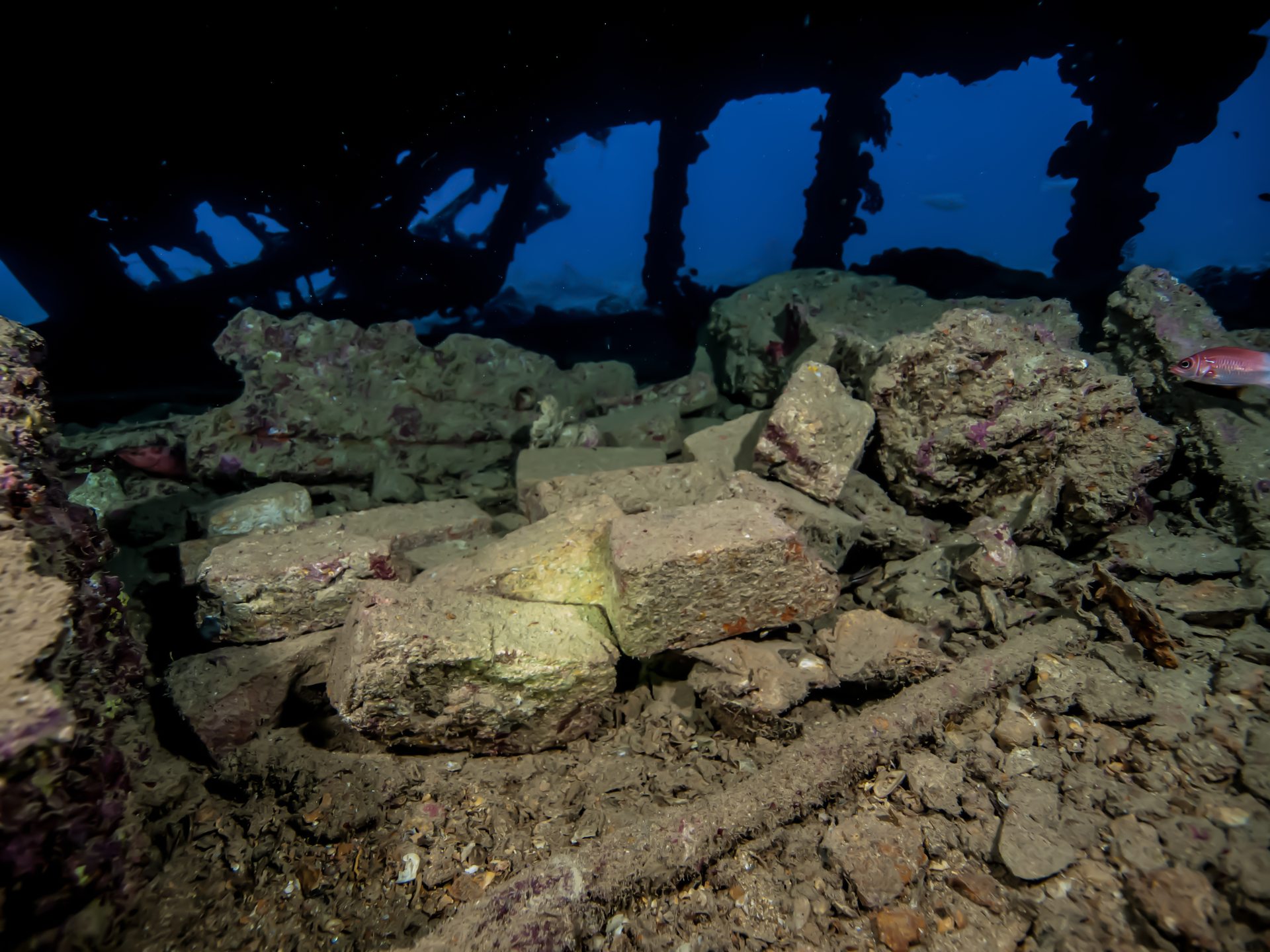 SS Dunraven Wreck photo 4