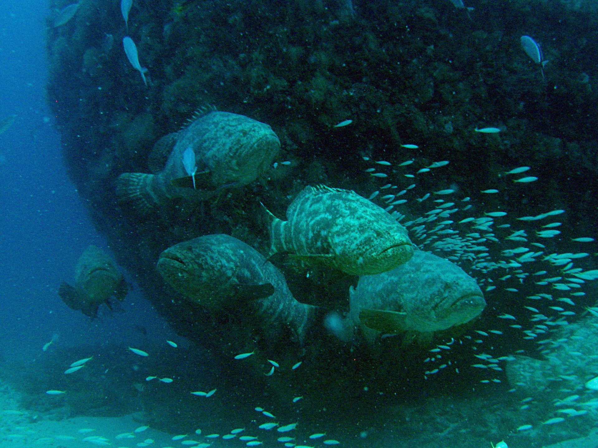 Wreck Trek photo 2