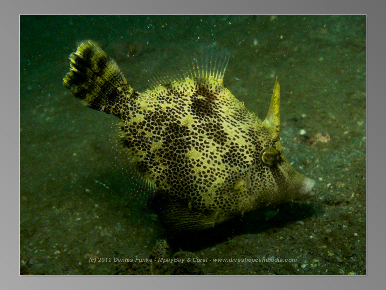 Mpai Bay photo 2