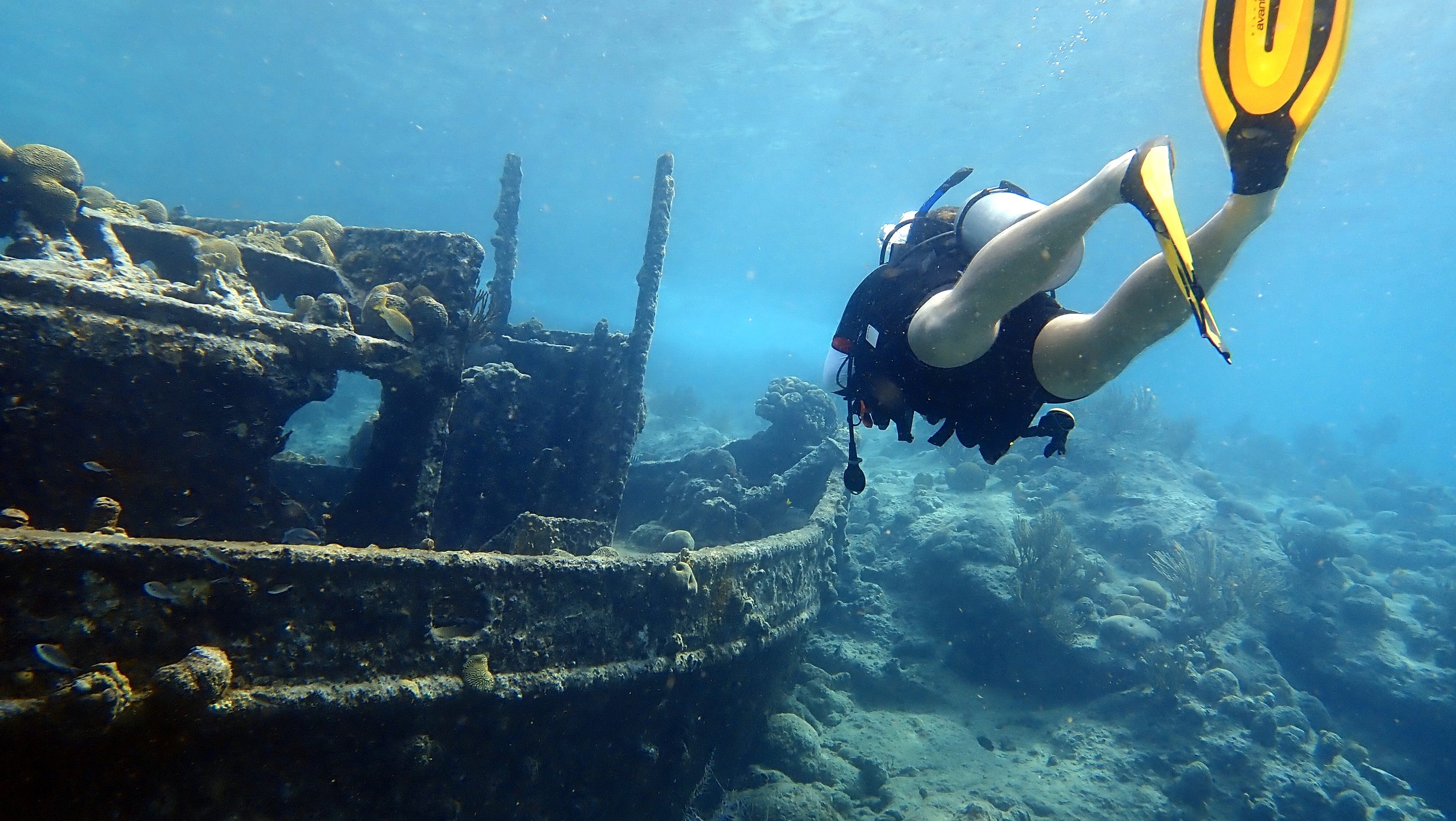 Tugboat Housereef of CURious 2 DIVE photo 5