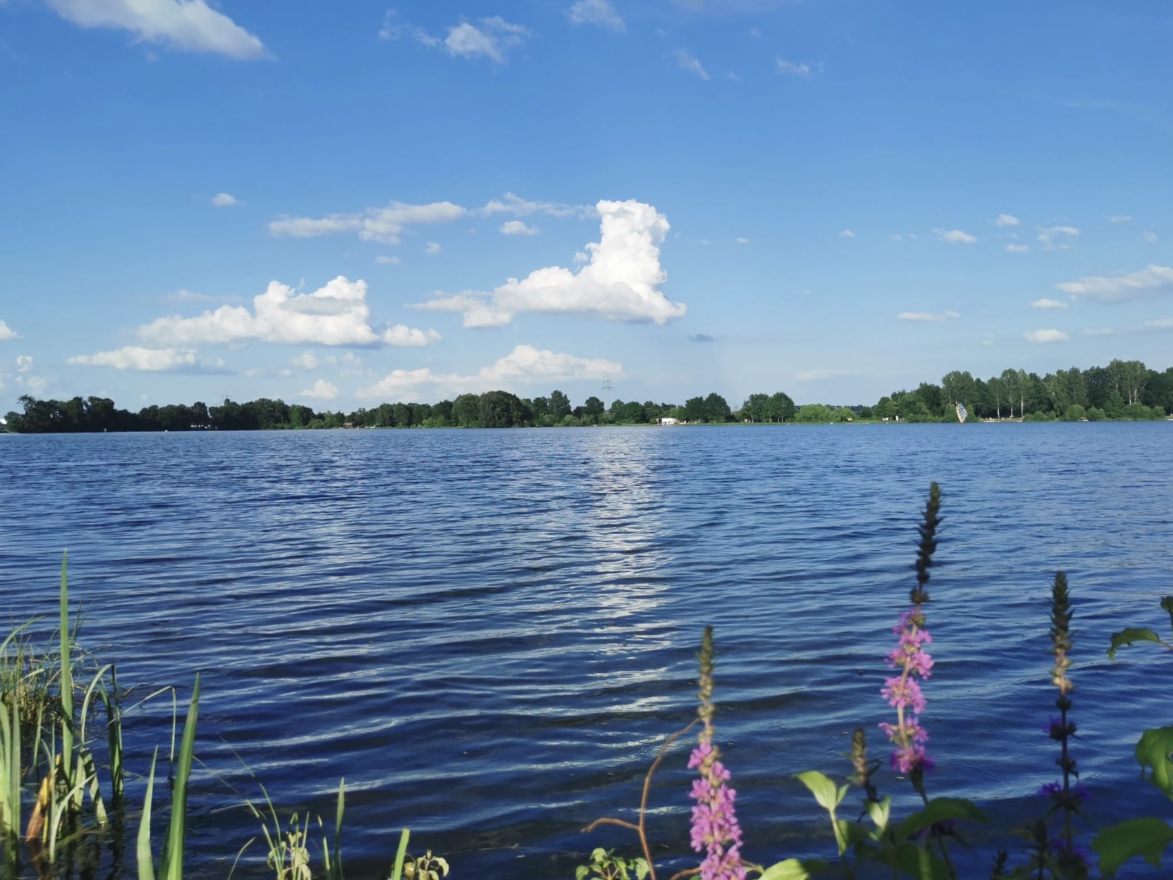Laupheimer Baggersee
