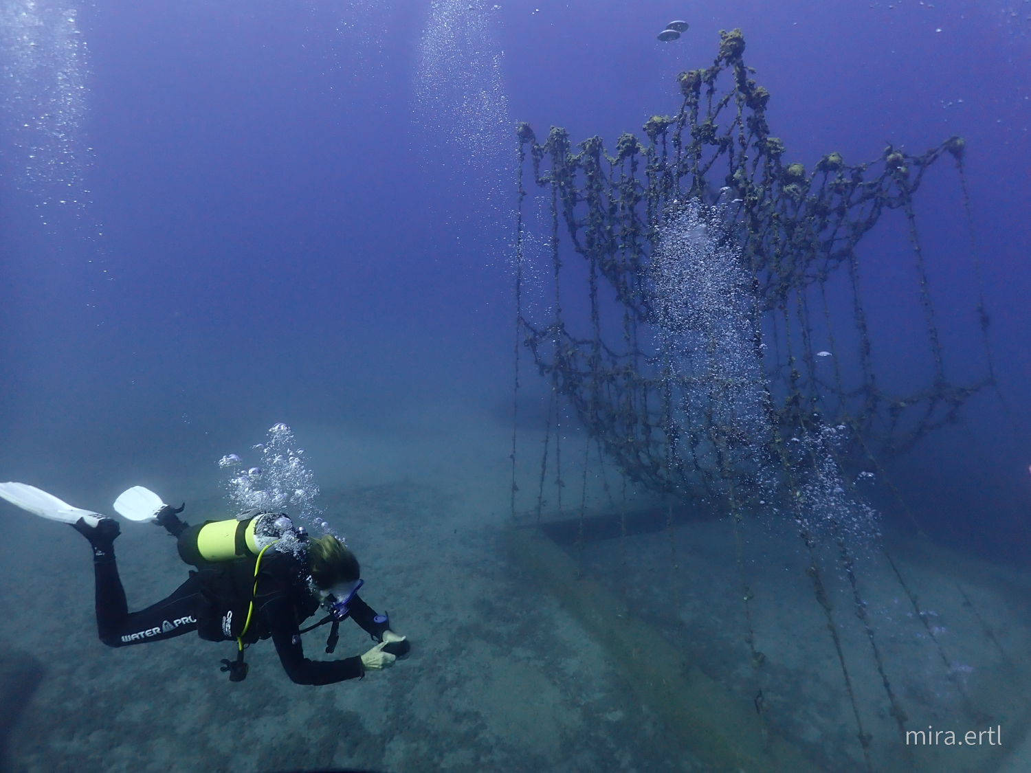Artificial Reef