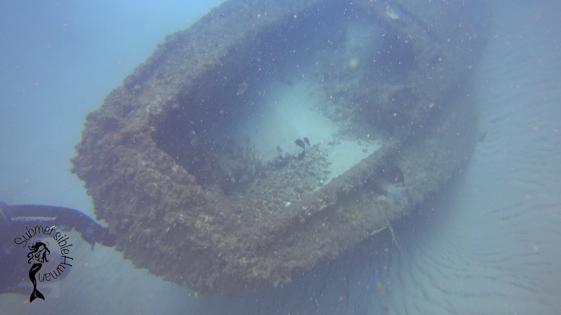 Curtin Artificial Reef - Moreton Bay photo 2