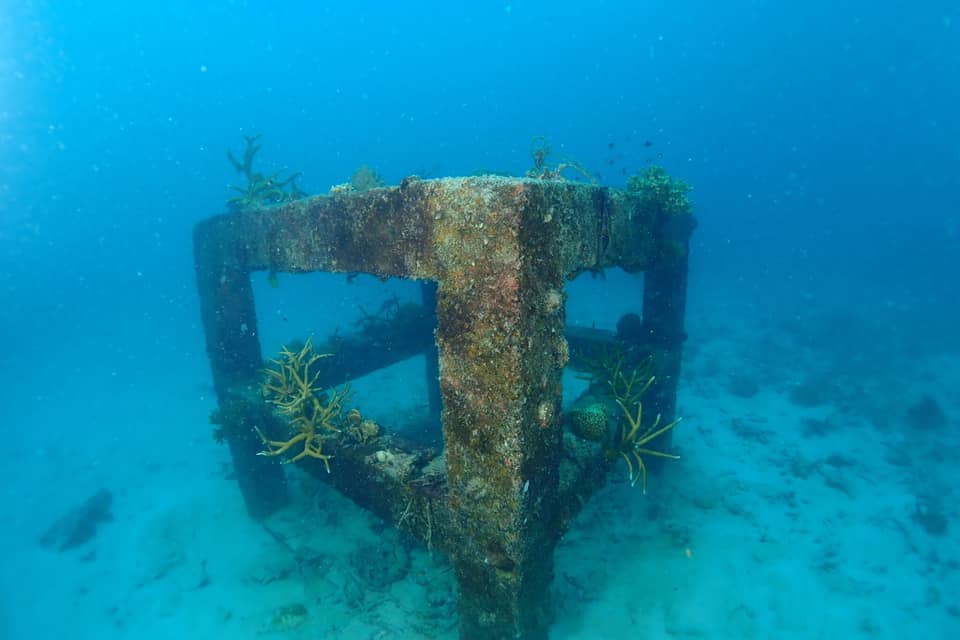 Ban's Artificial Reef