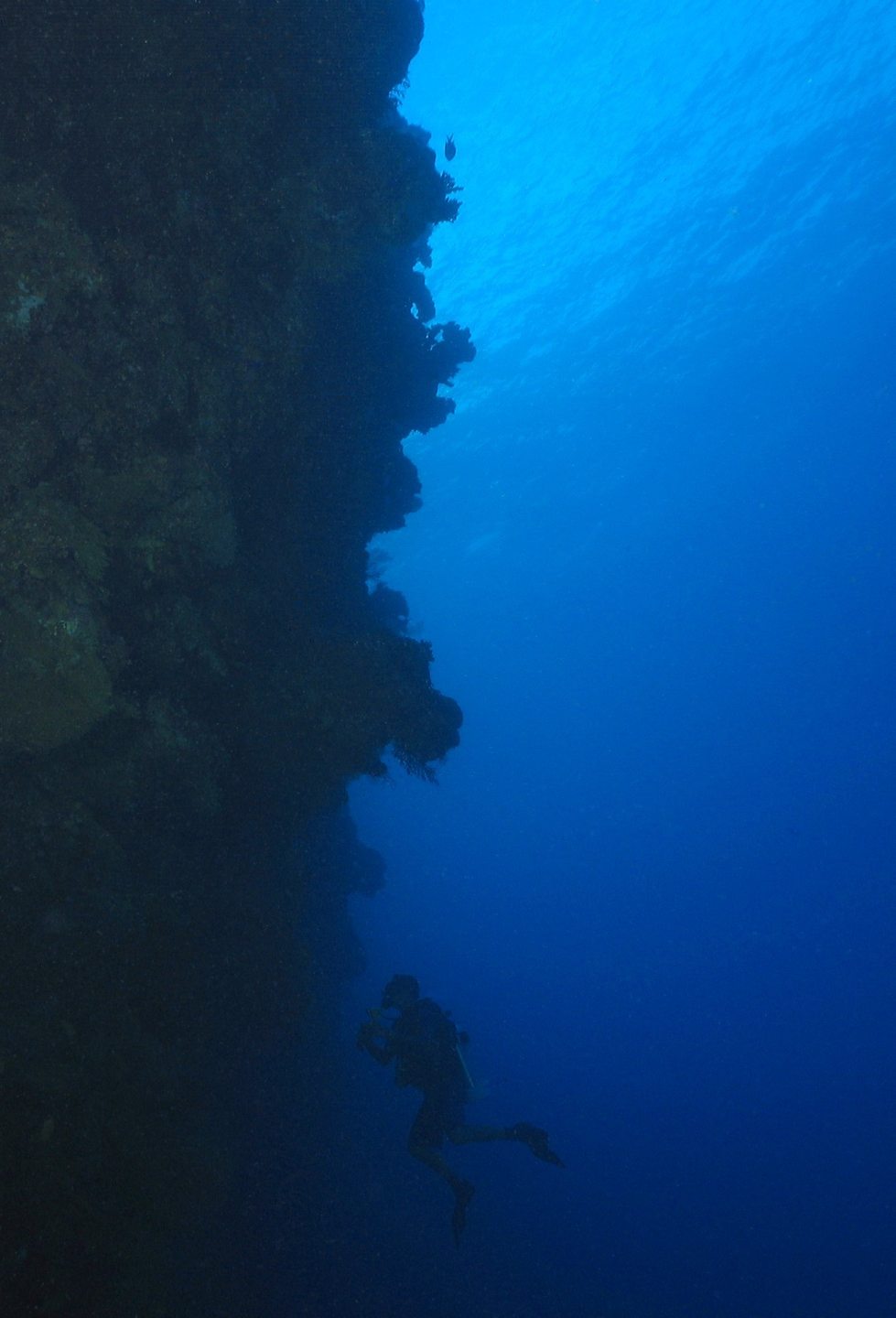 Flynn Reef photo 13