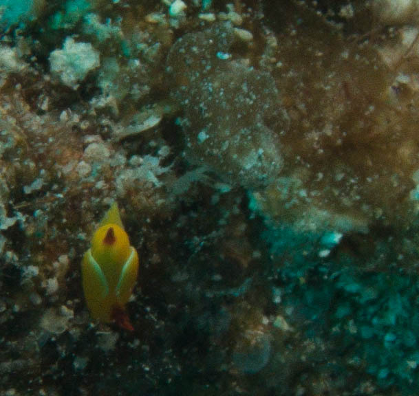 NudiMadness photo 3
