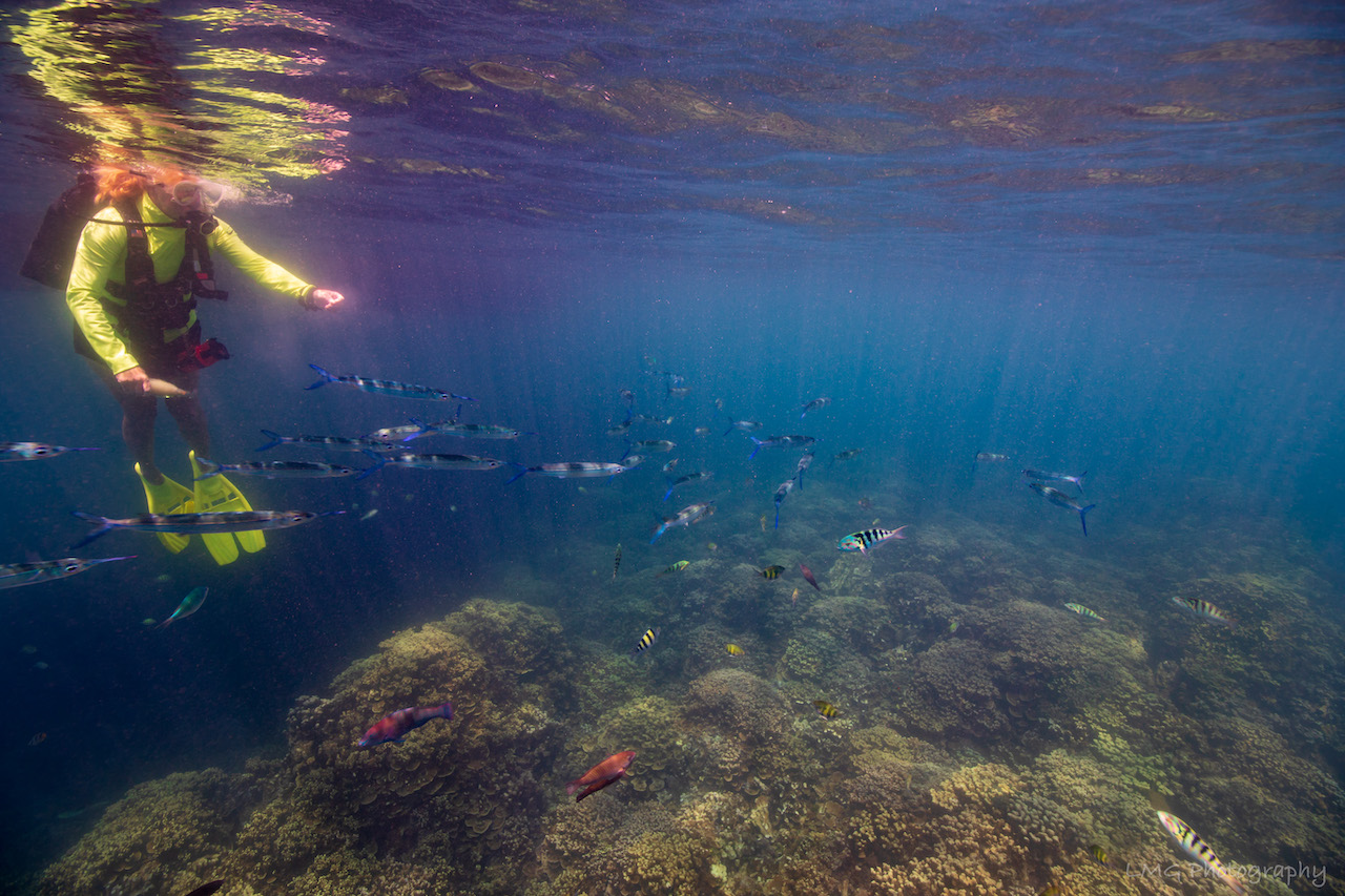 Western Shoals photo 14