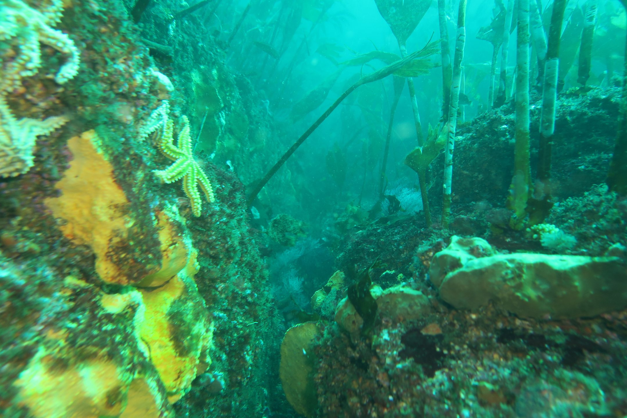 La gruta photo 2