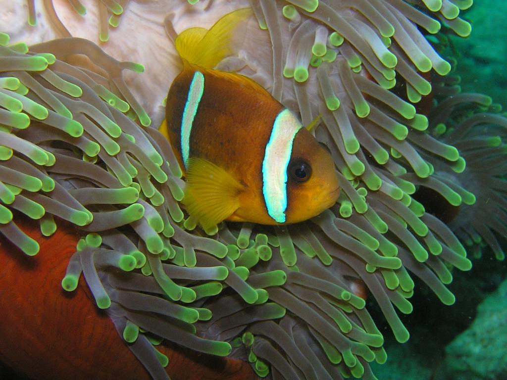 Mangrove Point photo 5