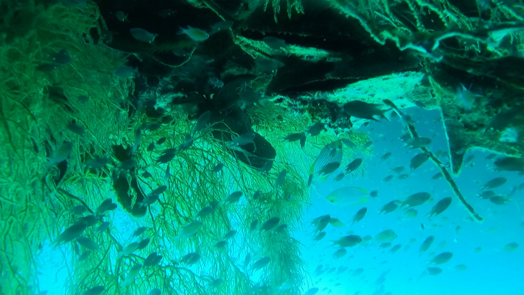 Chumphon Pinnacle