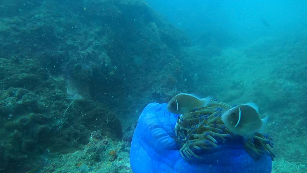 Sail Rock photo 3