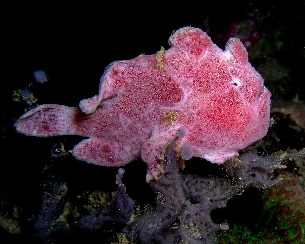 Crystal Bay photo 8