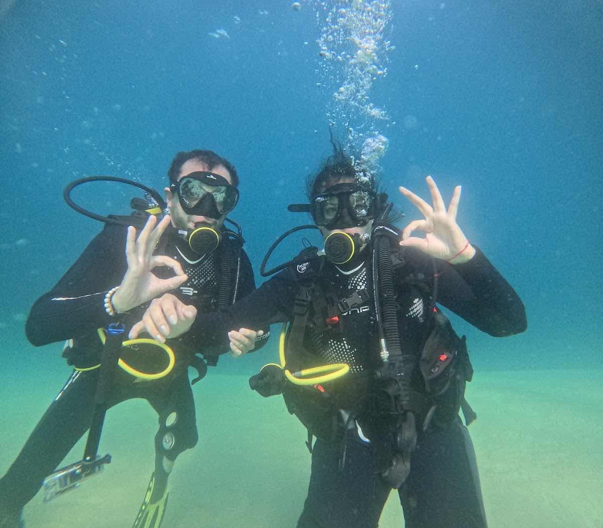 Baja Shark Experience photo 5