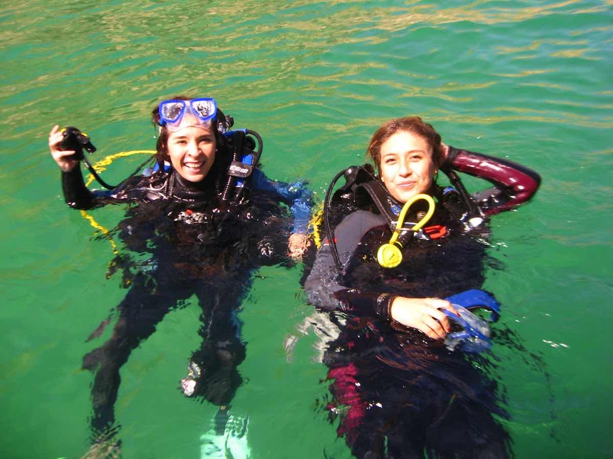Baja Shark Experience photo 8