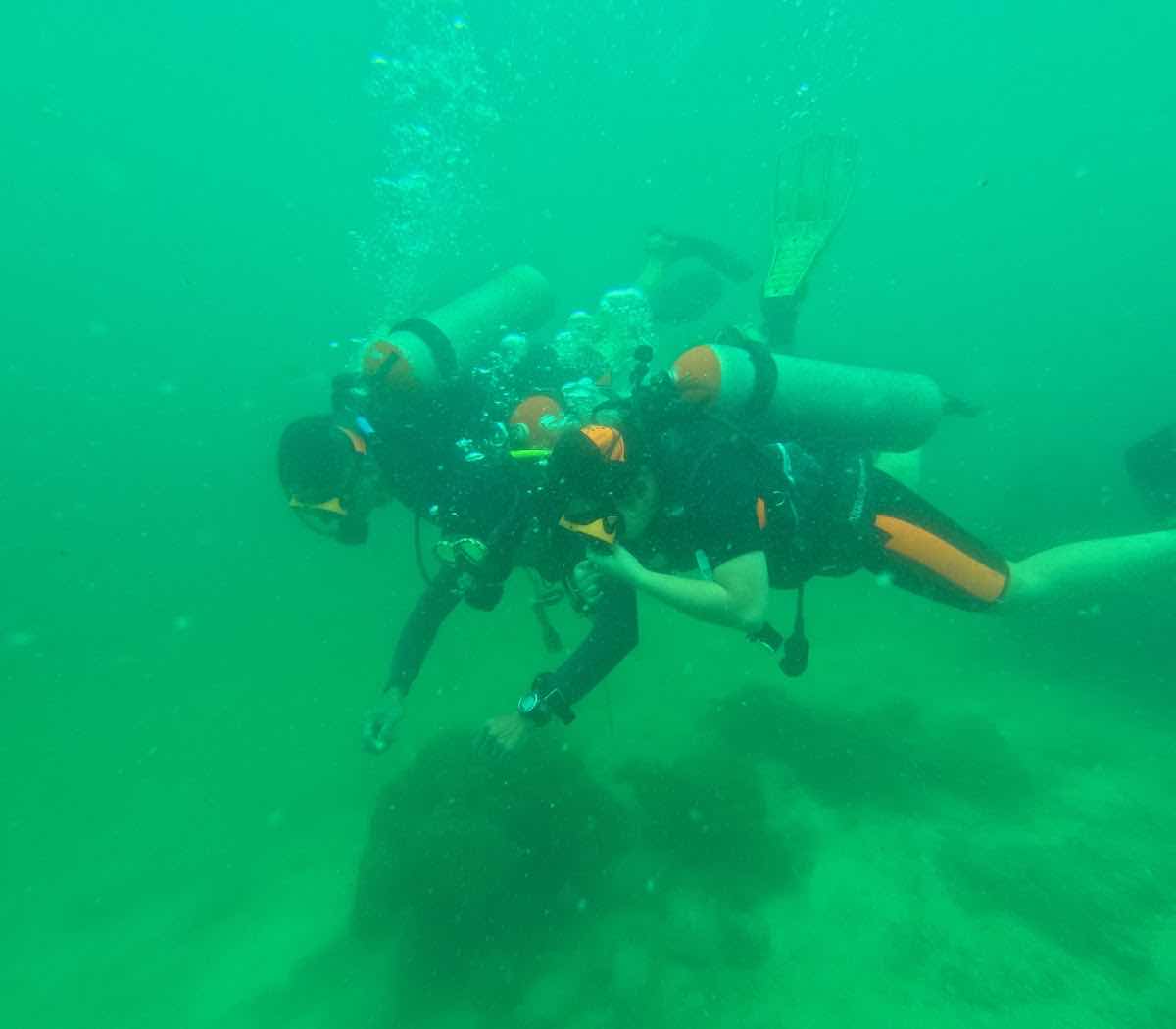 BB DIVERS Lagoon shop in white Sands photo 2