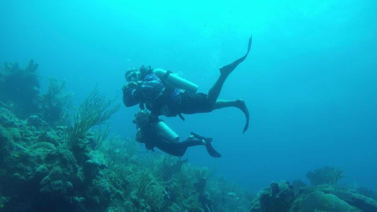 TnT Dive Pros photo 3