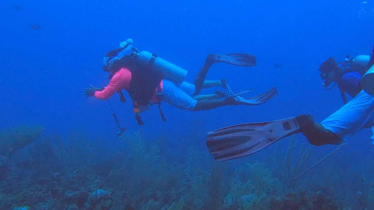 TnT Dive Pros photo 8