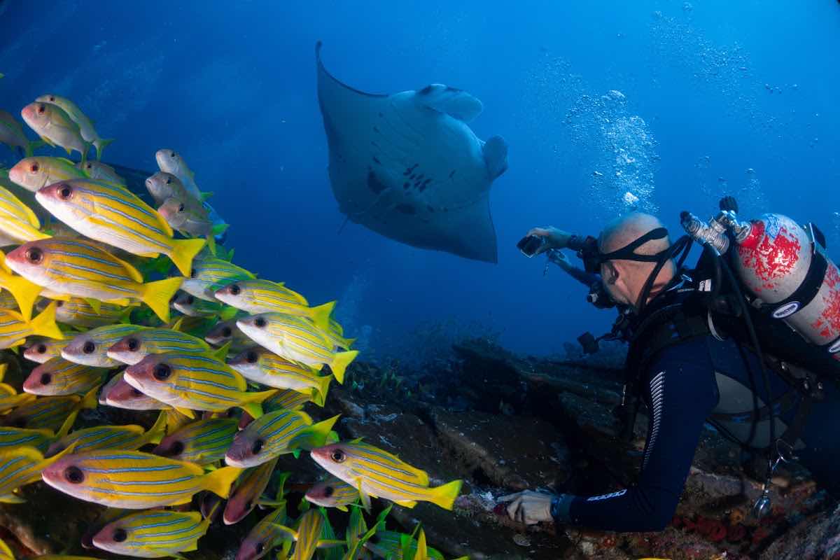Submaldives photo 6